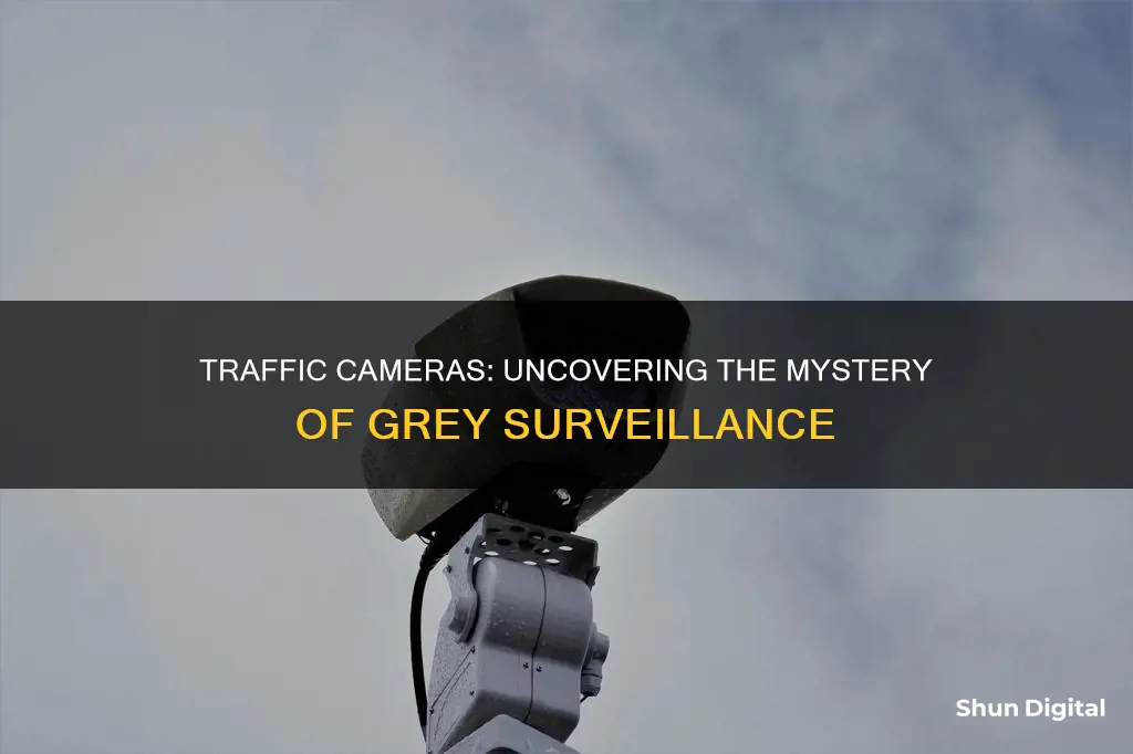 what are grey traffic cameras