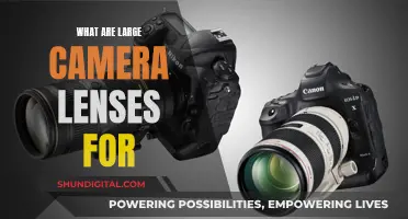 Large Camera Lenses: Capturing the Bigger Picture