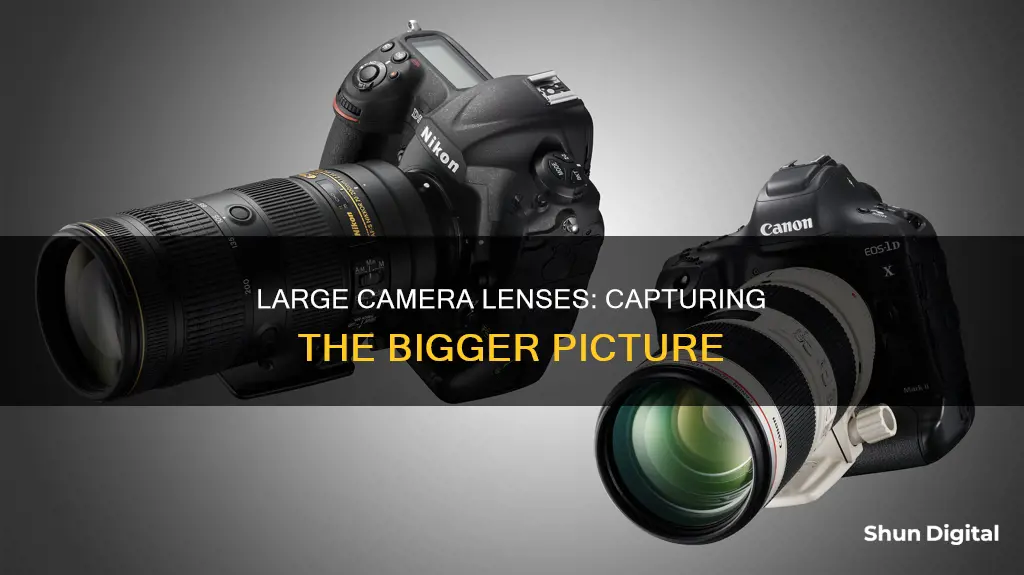 what are large camera lenses for