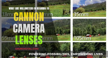 Understanding Millimeters in Canon Camera Lenses