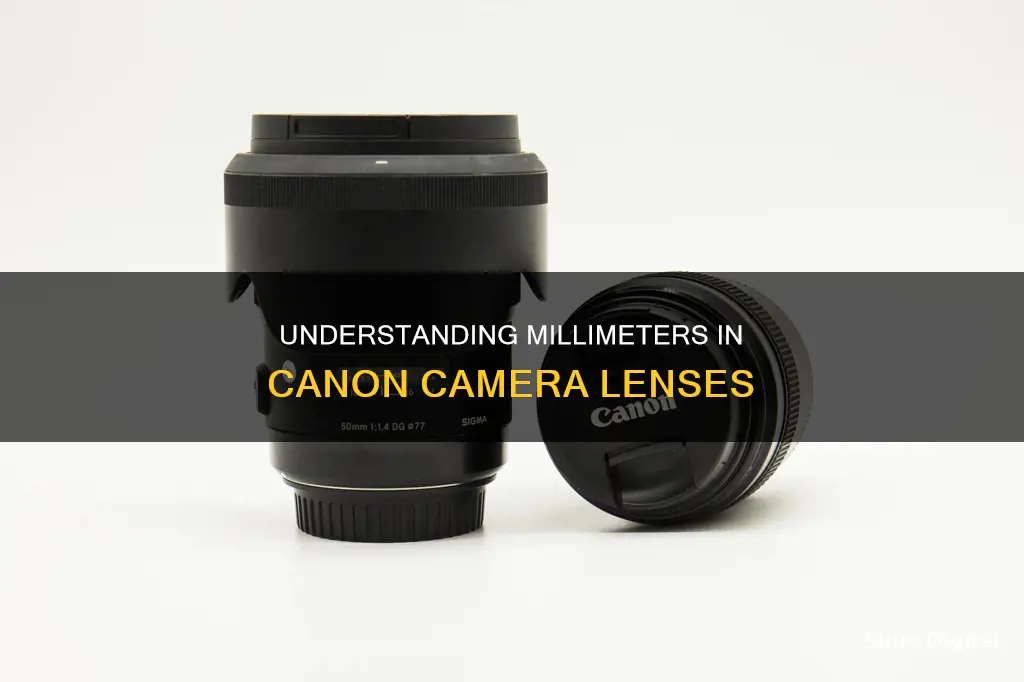 what are millimeters in regards to cannon camera lenses