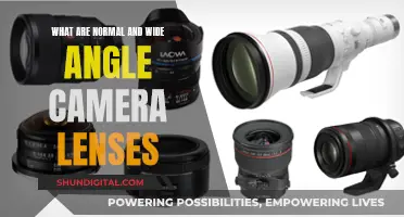 The Creative Power of Normal and Wide Angle Lenses