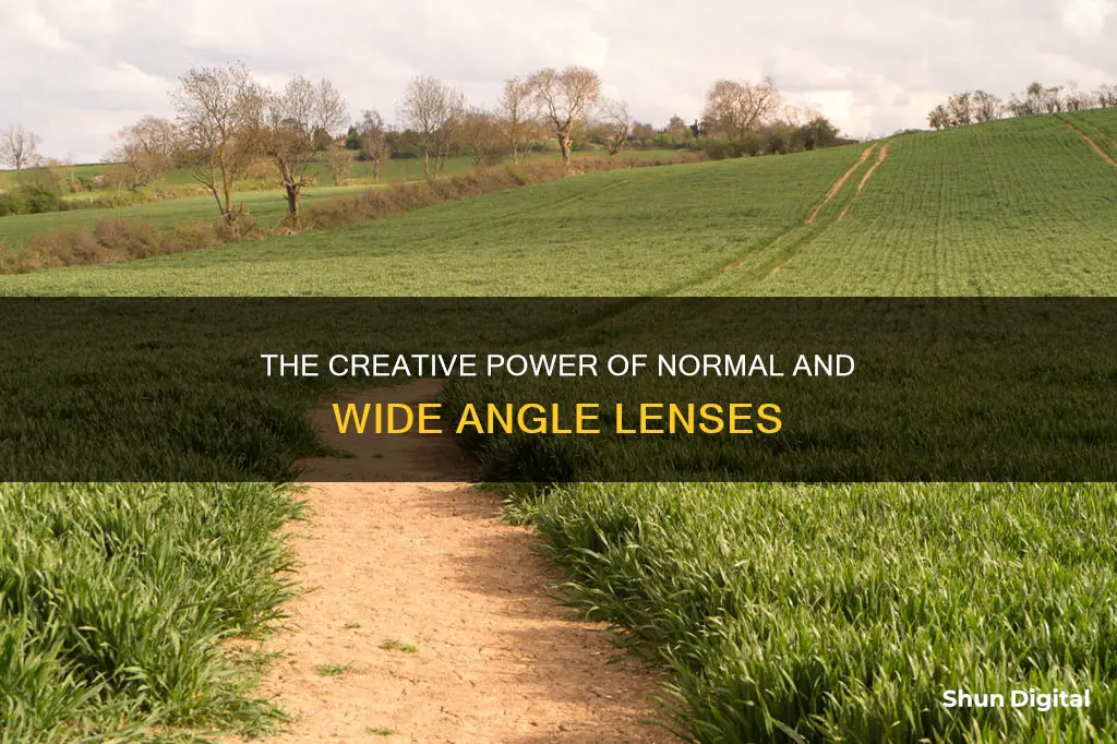 what are normal and wide angle camera lenses