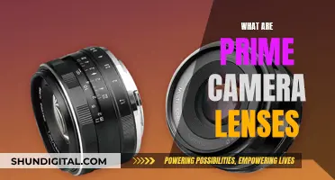 The Prime Camera Lenses Advantage: Sharpness and Speed