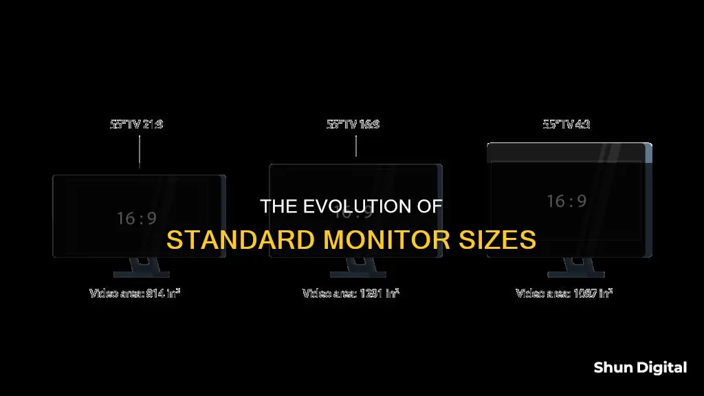 what are standard size monitors