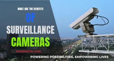 Surveillance Cameras: Security, Safety, and Peace of Mind