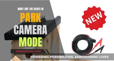 Mastering Park Camera Mode: Understanding the Boxes