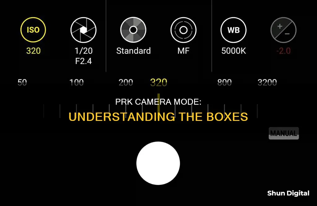 what are the boxes in prk camera mode