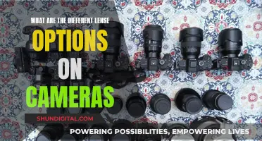 Understanding Camera Lens Options: Capturing Unique Perspectives