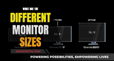 Monitor Sizes: Understanding the Different Screen Dimensions