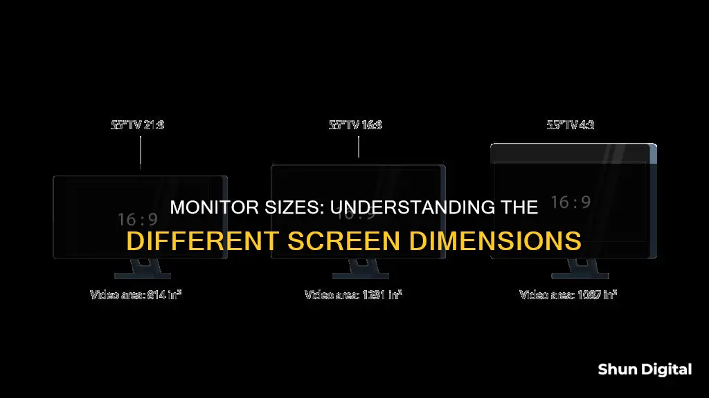 what are the different monitor sizes