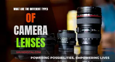 Understanding Camera Lenses: Types and Their Uses