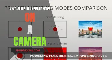 Understanding Your Camera's Metering Modes