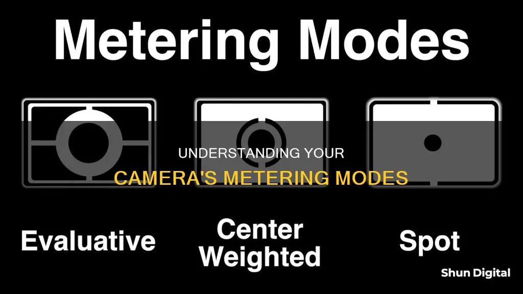 what are the four metering modes on a camera