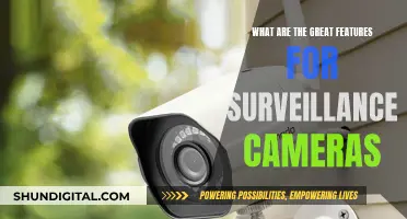 Surveillance Cameras: Advanced Features for Enhanced Security