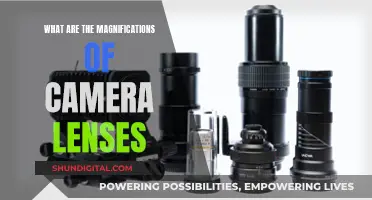 Understanding Camera Lenses: Magnification Options for Photographers