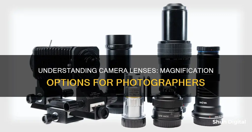 what are the magnifications of camera lenses