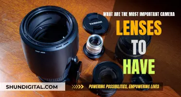 The Essential Camera Lenses Every Photographer Needs