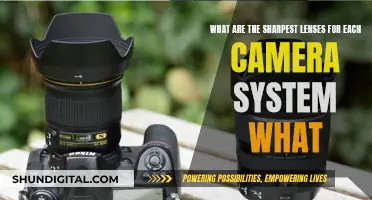 Sharpest Lenses for Each Camera System: Ultimate Guide