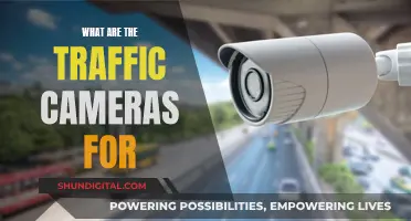 Traffic Cameras: Safety, Surveillance, and Privacy Concerns