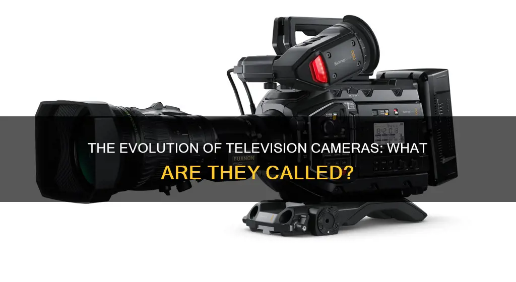 what are tv cameras called