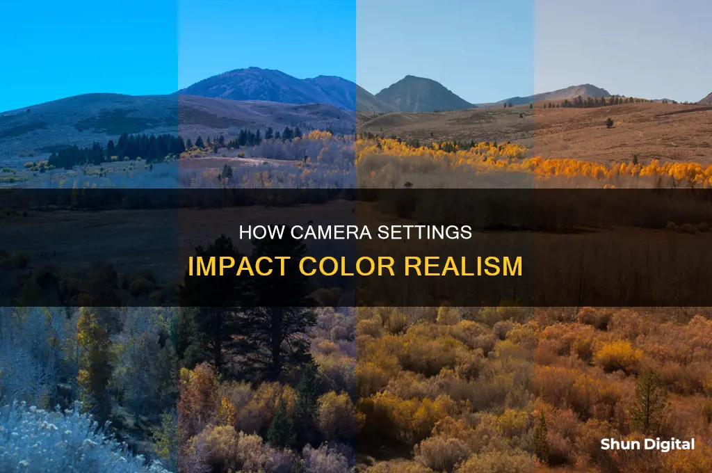 what camera adjustment is made to produce realistic colors