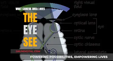 The Human Eye's Perspective: Camera Angle Insights