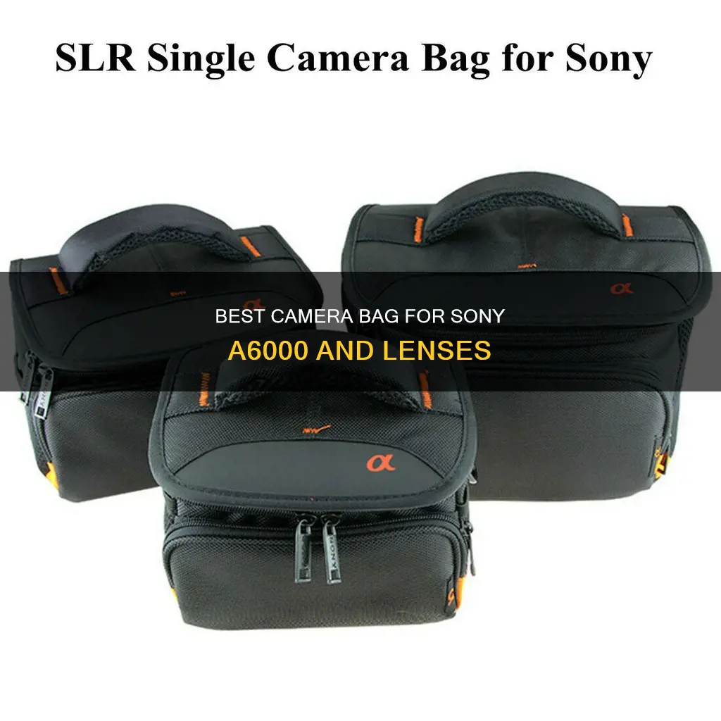 what camera bag fits a6000 and two lenses