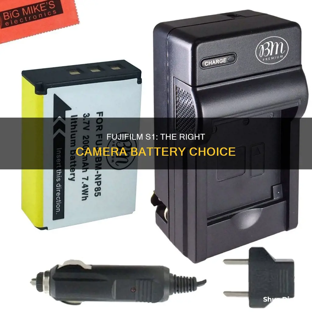 what camera battery goes in a fujifilm s1