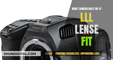 EF Lenses: Compatible Cameras for EF III Lenses