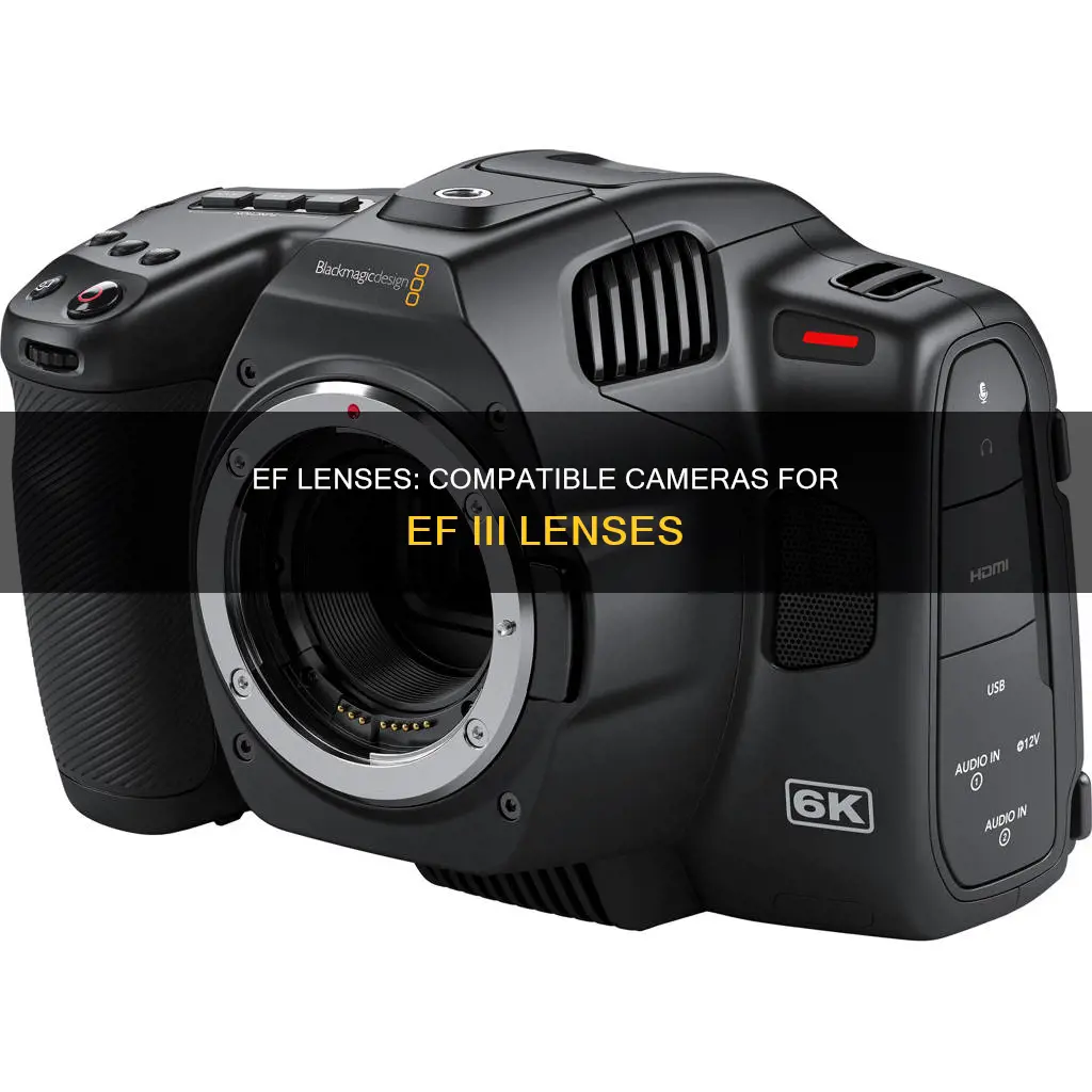 what camera does the ef lll lense fit