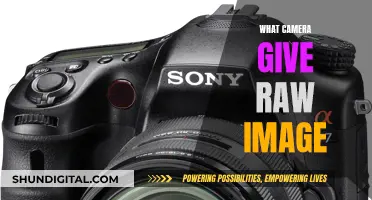 Best Cameras for RAW Photography Enthusiasts