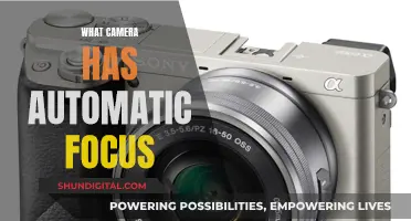 The Best Autofocus Cameras: Capturing Sharp Shots Effortlessly