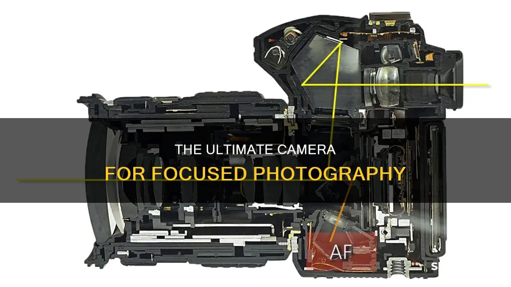 what camera has the most focus points