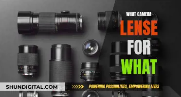 Choosing the Right Camera Lens: Capturing Perfect Shots