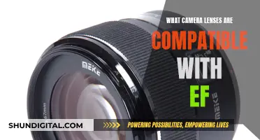 Best Camera Lenses Compatible with EF Mounts