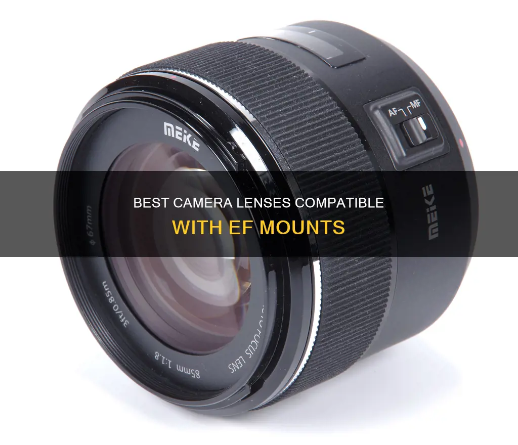 what camera lenses are compatible with ef