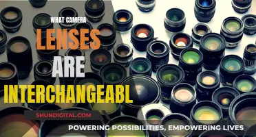 Understanding Interchangeable Camera Lenses: Compatibility and Flexibility