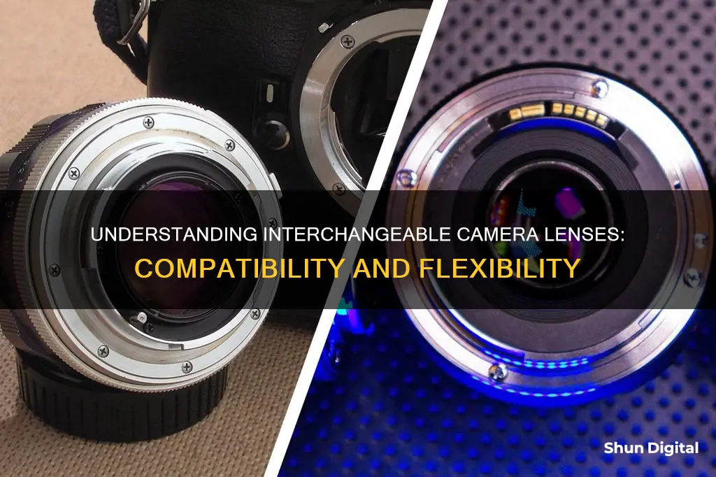 what camera lenses are interchangeable