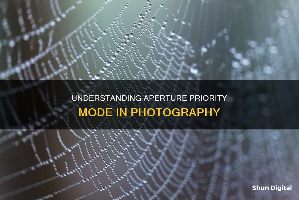 what camera mode is aperture priority