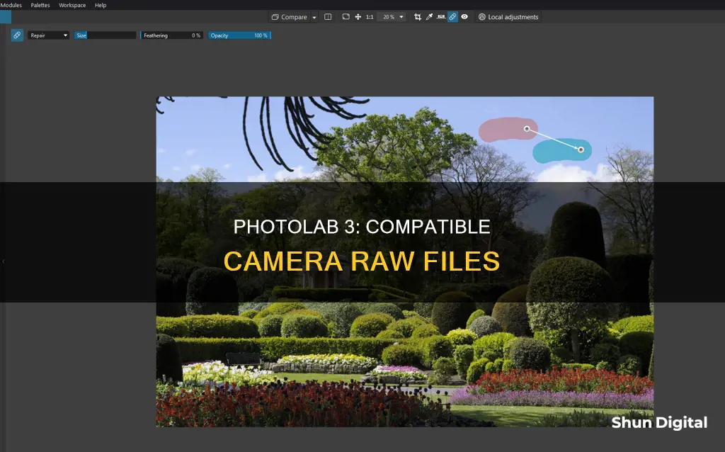 what camera raw files does photolab 3 read