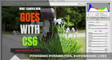 Camera Raw Compatibility with Adobe CS6
