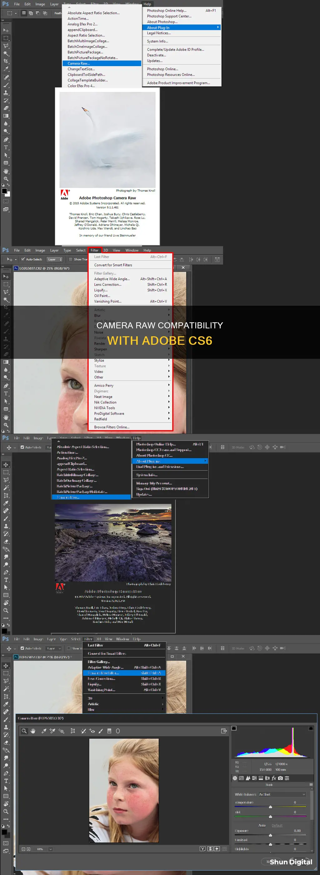 what camera raw goes with cs6