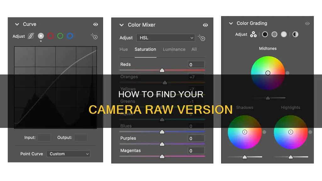 what camera raw version do I have