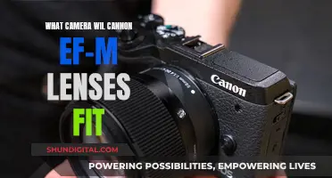 Finding the Right Camera Body for Your EF-M Lenses