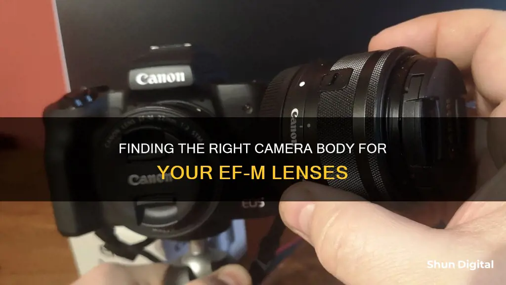 what camera wil cannon ef-m lenses fit