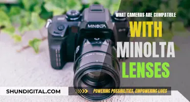 Best Cameras Compatible with Minolta Lenses