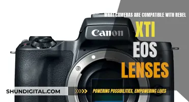 Rebel XTi EOS Lenses: Compatible Cameras for You