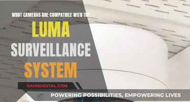 Luma Surveillance System: Compatible Cameras and Features