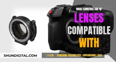 RF Lenses: Which Cameras Are Compatible?